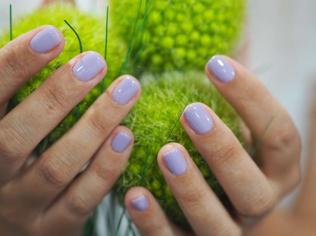 Studio Style-Podgorica Municipality必去景点