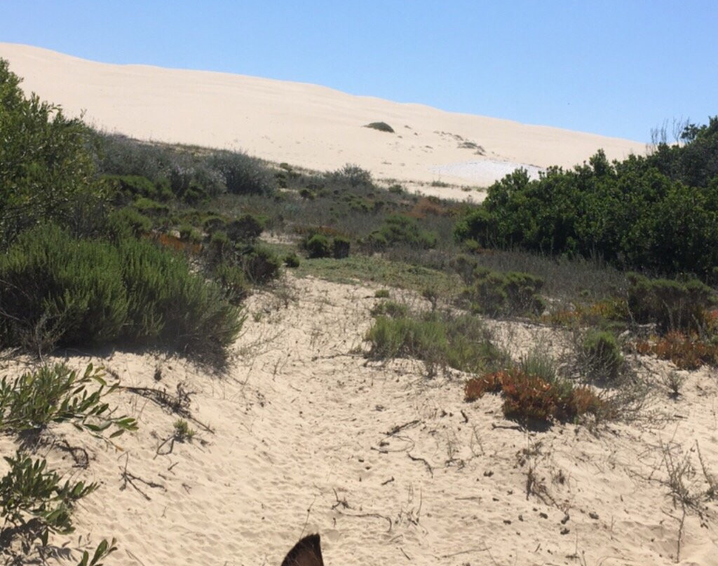 Pacific Dunes Ranch Riding Stables景点图片