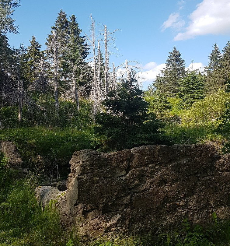 Battery Provincial Park-St. Peter's必去景点