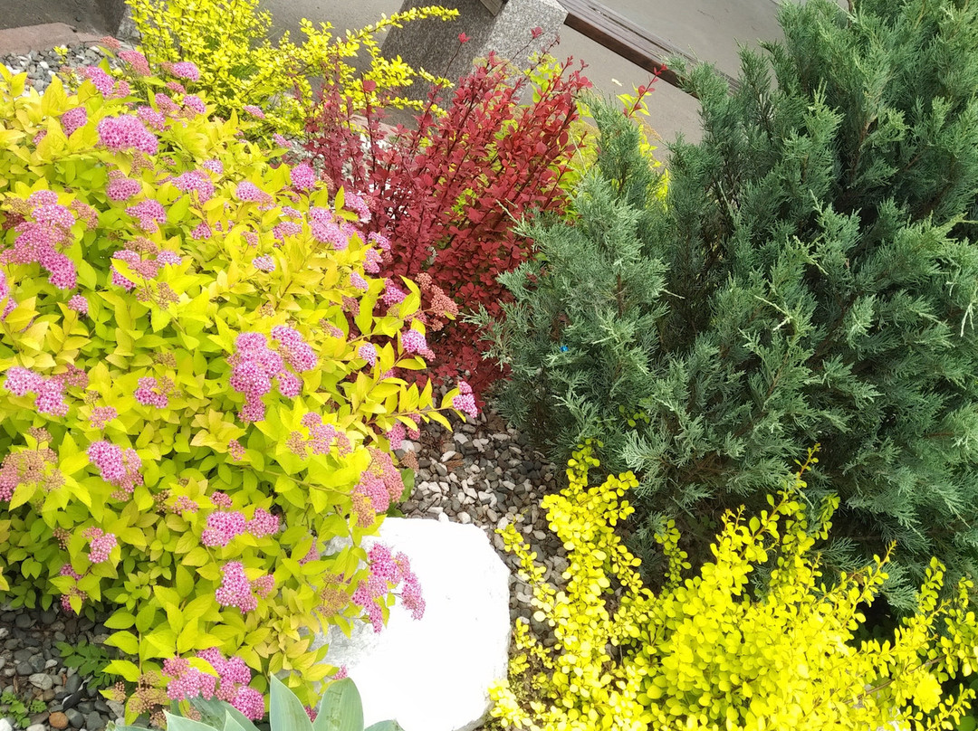 Tom River Plaza主图