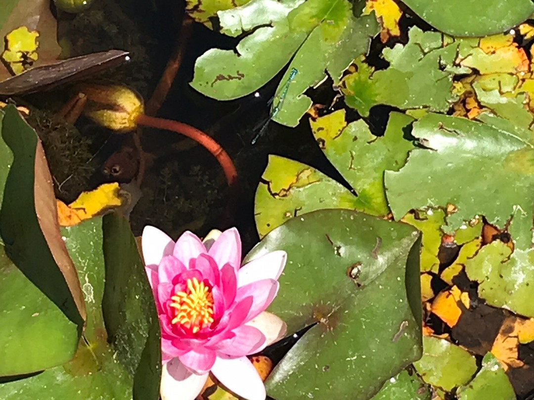 植物公园景点图片