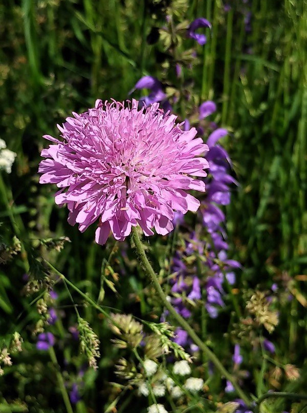 Rifugio Vallanta