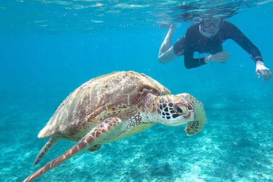 Turismoi-利马必去景点