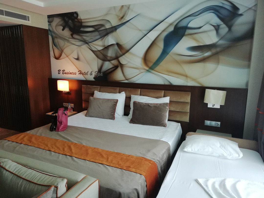 B Business Hotel & Spa主图