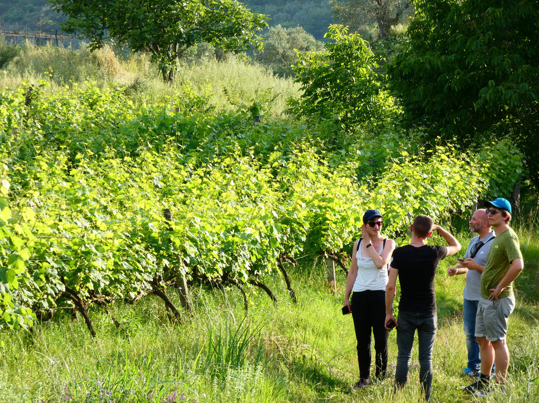 1001 Albanian Adventures-培拉特必去景点