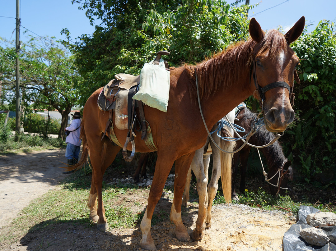 Step In The Valley-维纳勒斯必去景点