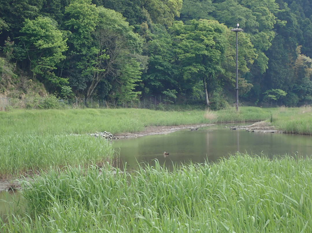 Hachigoro's Tojima Wetland-丰冈市必去景点