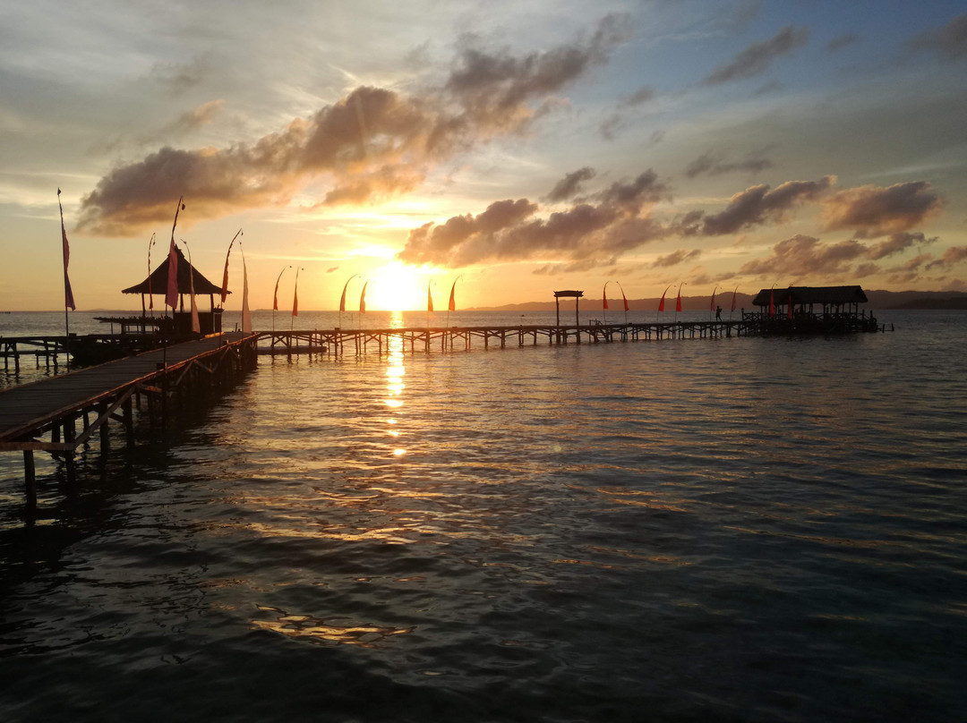 拉贾安姆葩特潜水小屋酒店主图