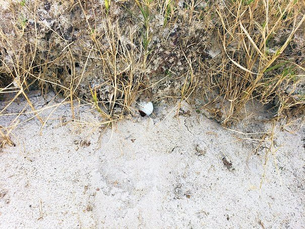 Perdido Bay Golf Club-Perdido Key必去景点