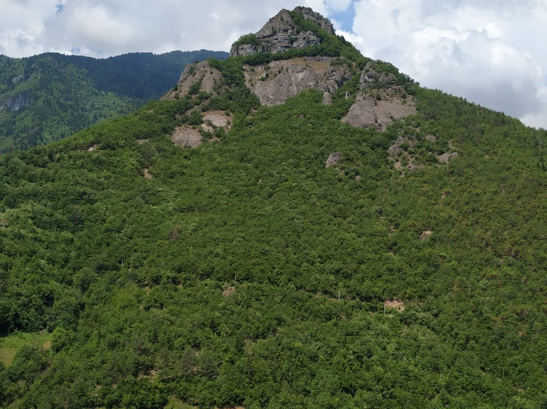 Hatila Vadisi Milli Parki景点图片