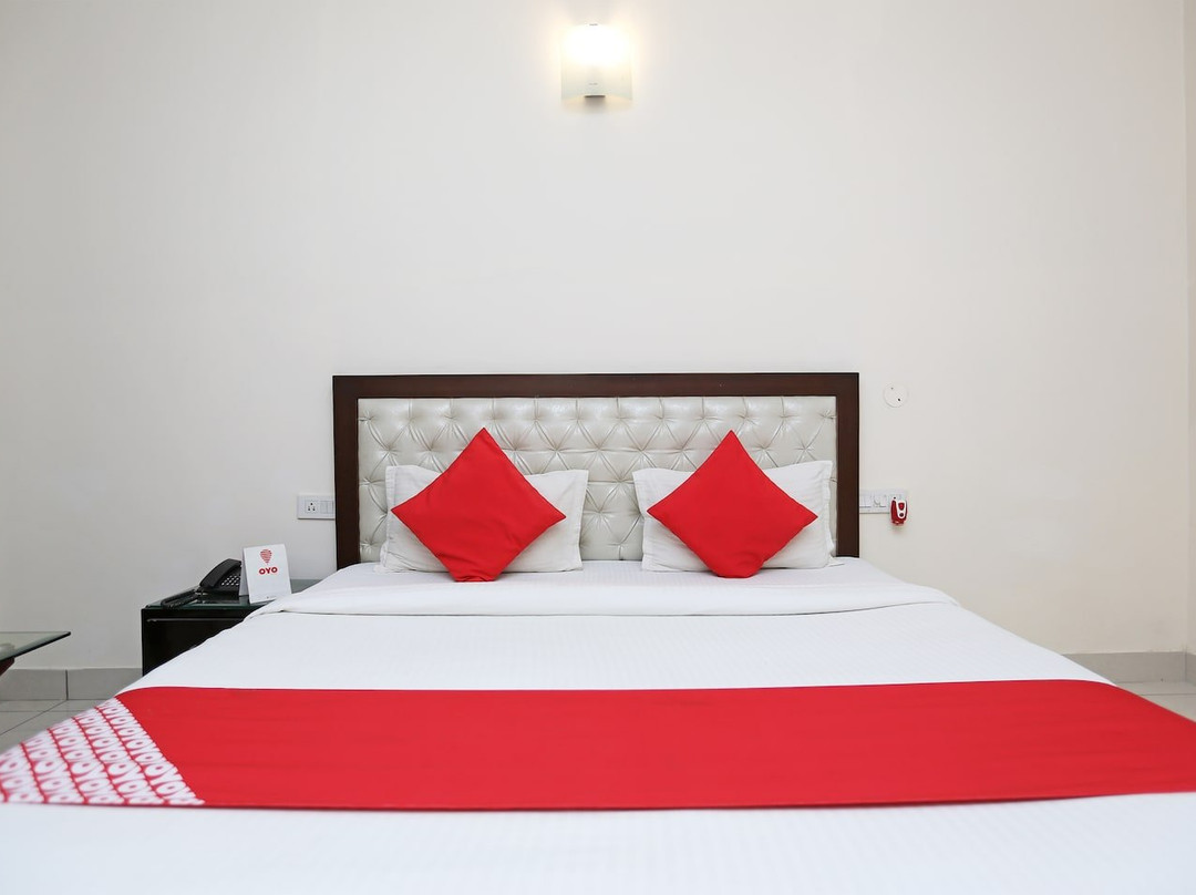 OYO 2067 Yellow Sapphire主图