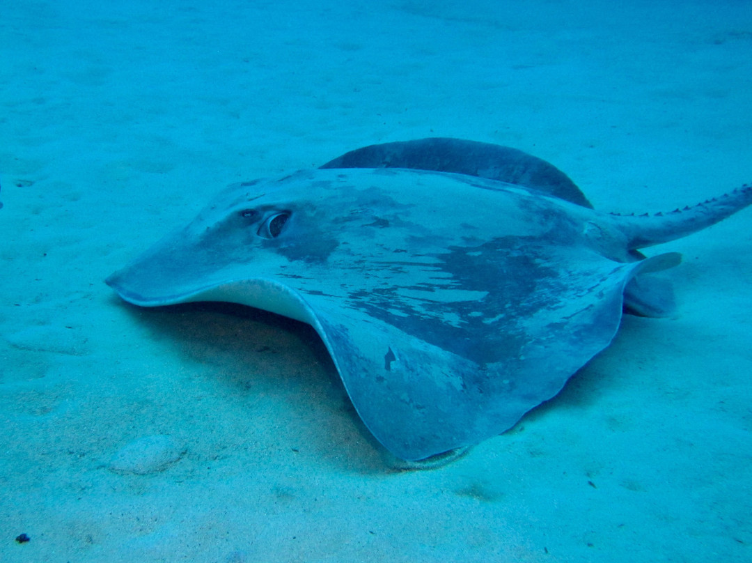 Euro-Divers Lanzarote-卡门港必去景点