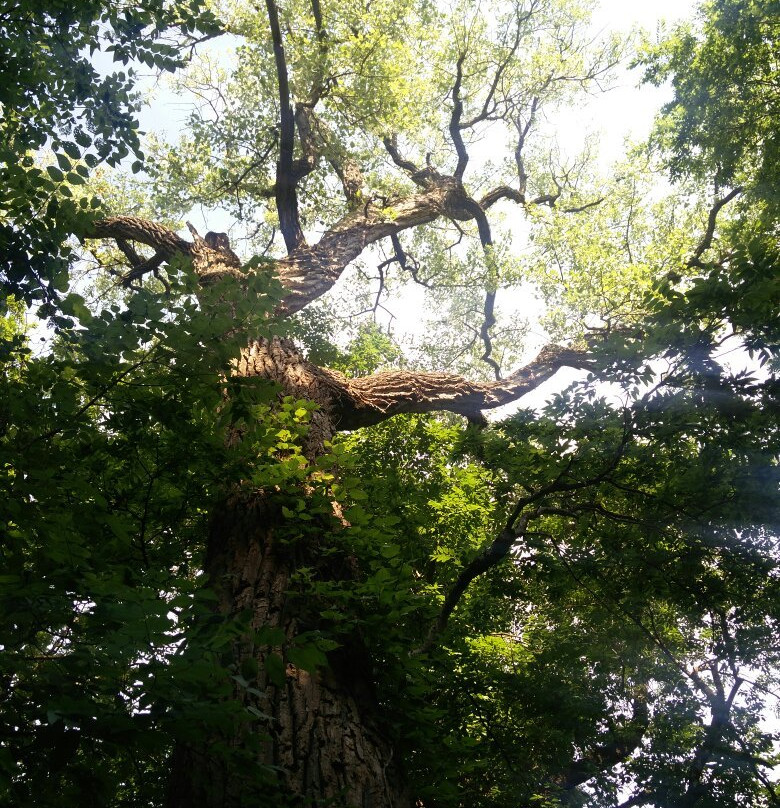 Erwin Park Hike & Bike Trail-麦金尼必去景点