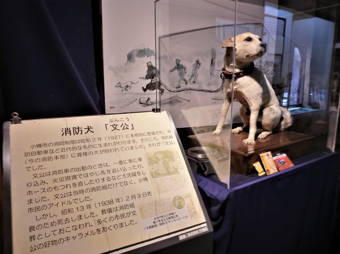Firefighter Dog Bunko Statue-小樽市必去景点