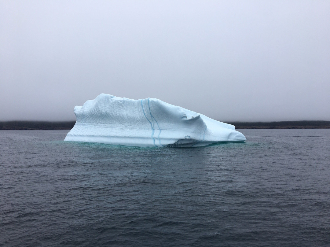 Iceberg Quest Ocean Tours景点图片
