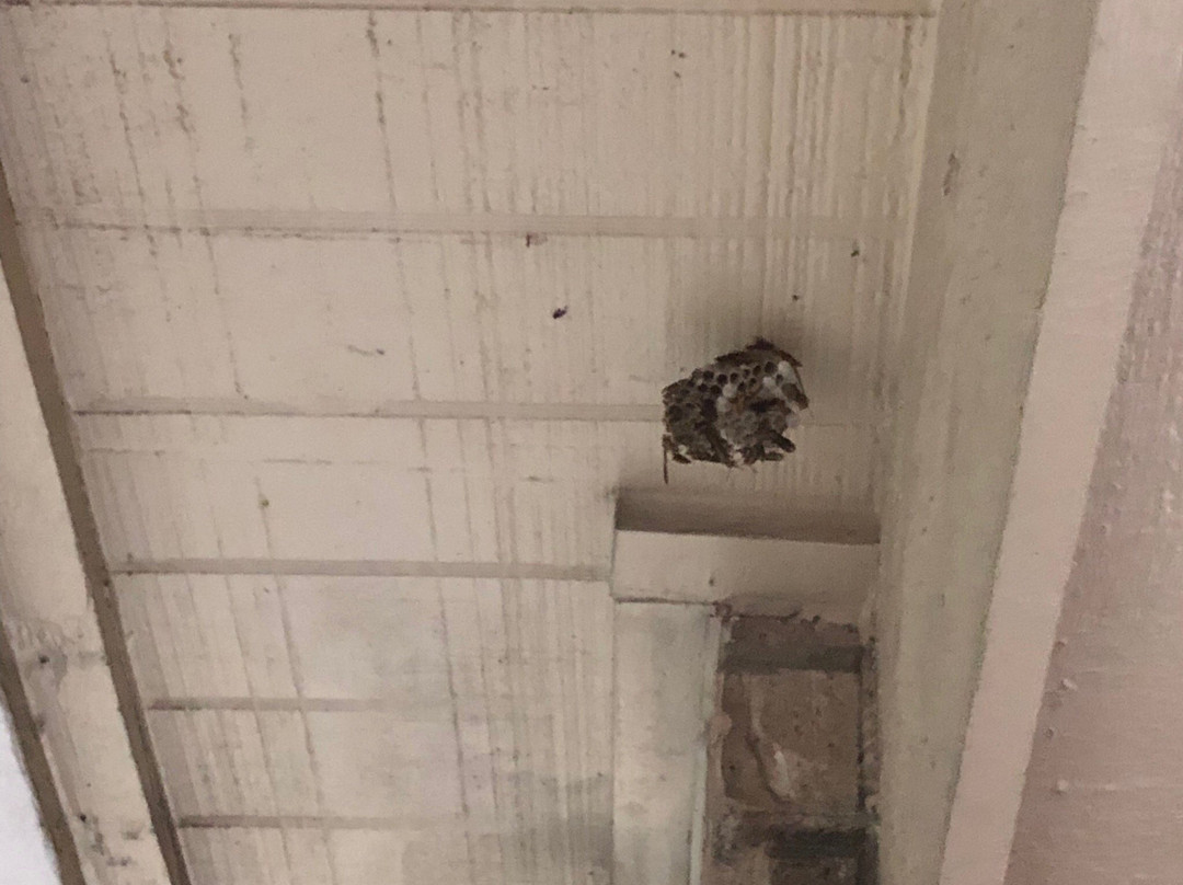 Best Western Garden Inn主图