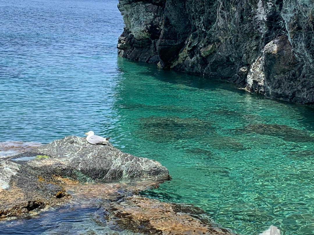 Spiaggia "Le Viste"景点图片