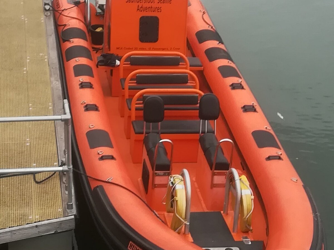 Saundersfoot Sea Safari景点图片