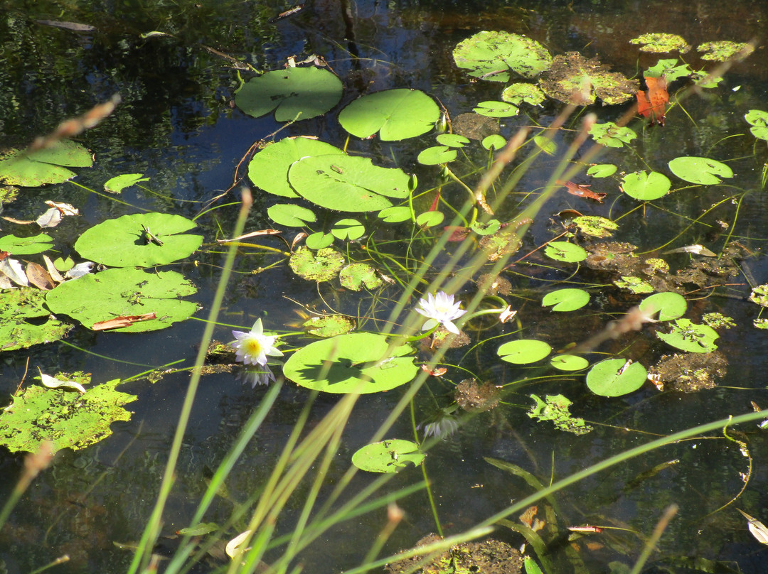 Galvans Gorge-Wunaamin Miliwundi Ranges必去景点