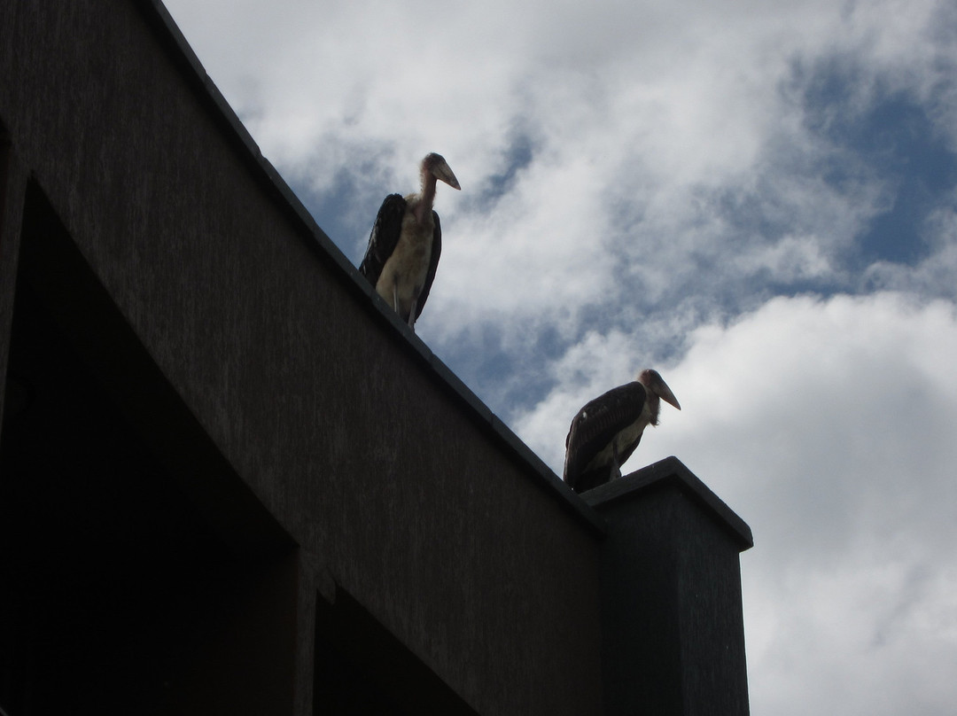 恩德培普罗蒂酒店主图