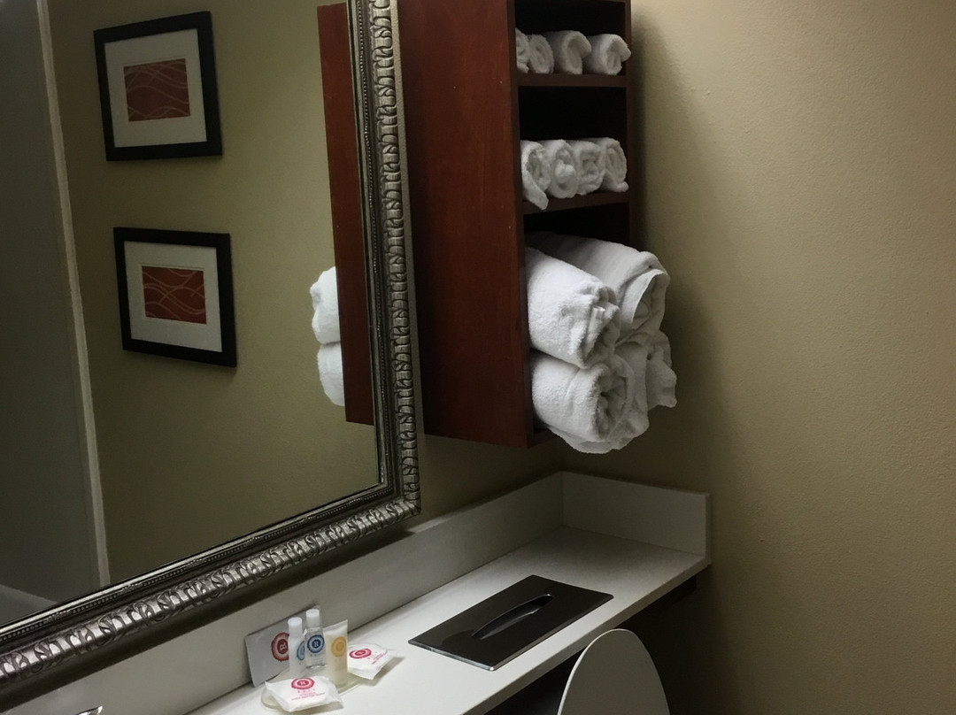 Comfort Inn & Suites主图