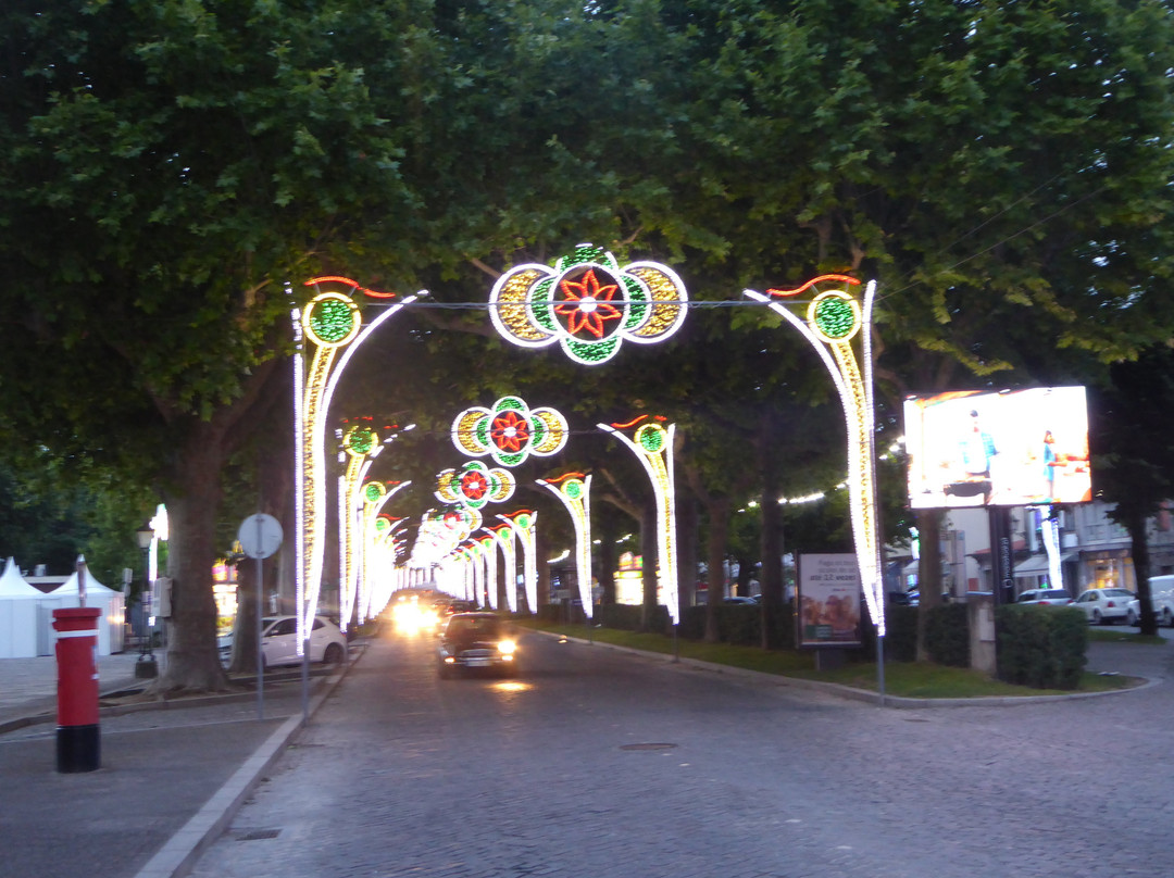 Jardim da Praca da Republica景点图片