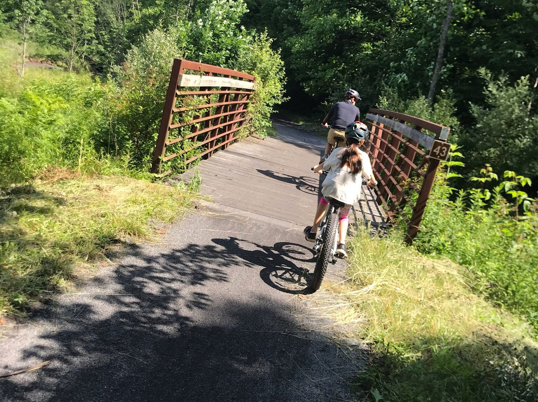 Blue Blaze Bicycle & Shuttle Service-Damascus必去景点