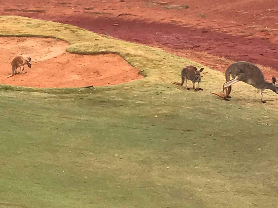Kalgoorlie Golf Course-卡尔古利必去景点
