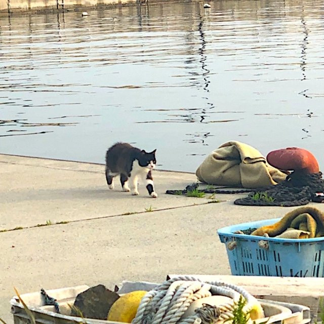 Nitoda Port-石卷市必去景点