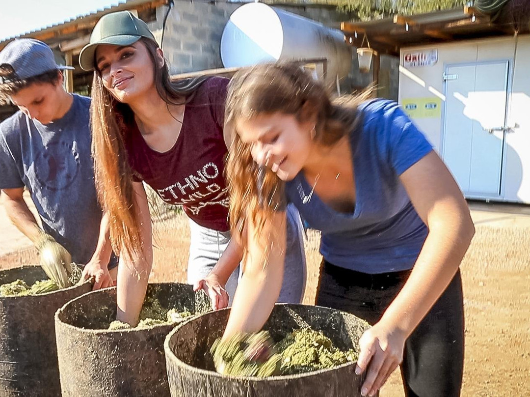 Xplore English-乔治必去景点