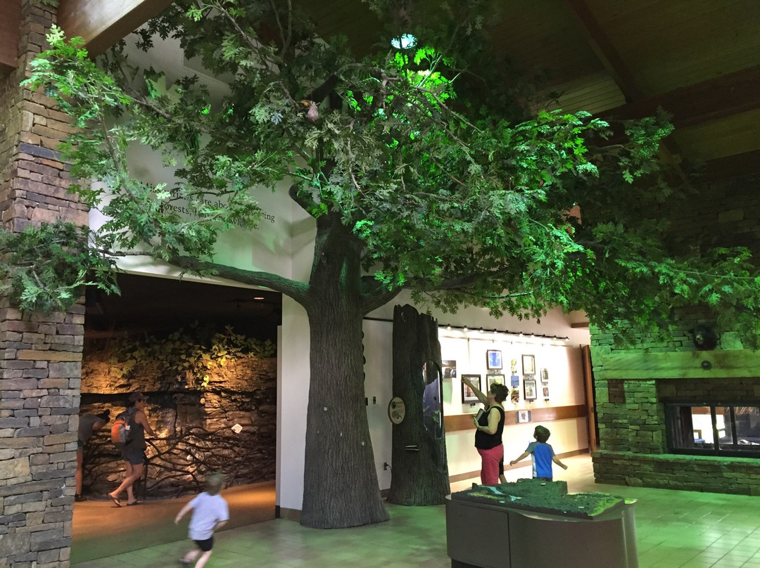 Springfield Conservation Nature Center-斯普林菲尔德必去景点