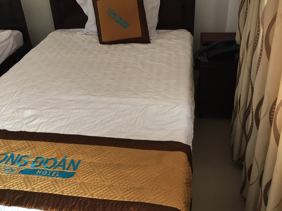 丛杜安富安大酒店主图