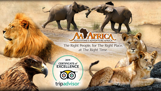 Augustine's Adventure Africa-阿鲁沙必去景点