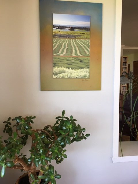 Auberge des Aboiteaux主图