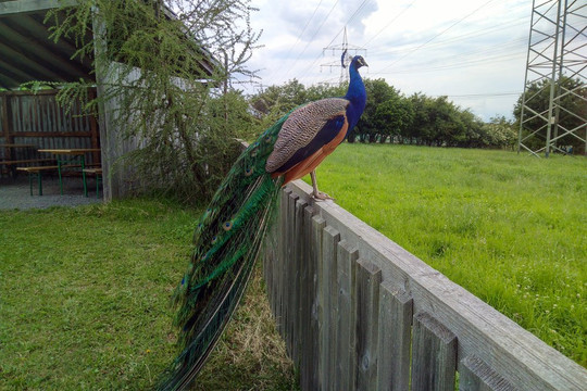 Glessen旅游攻略图片