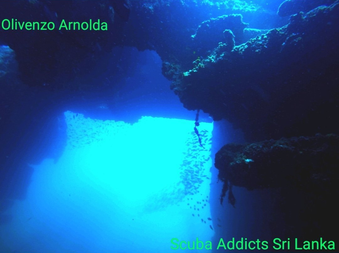 Scuba Addicts Dive Center Passikuda景点图片