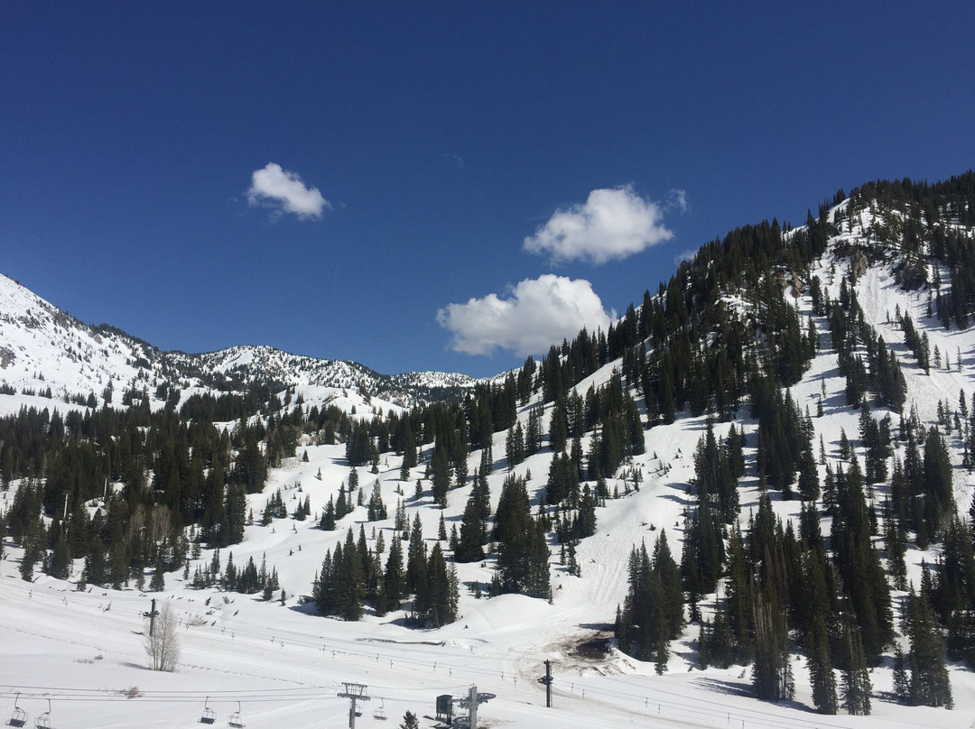 Snowpine Lodge主图