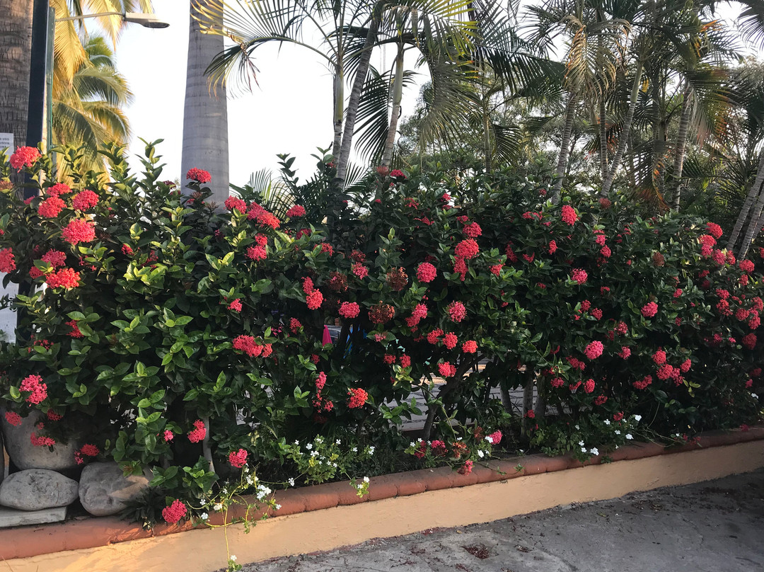 Hotel Plaza Tecoman主图