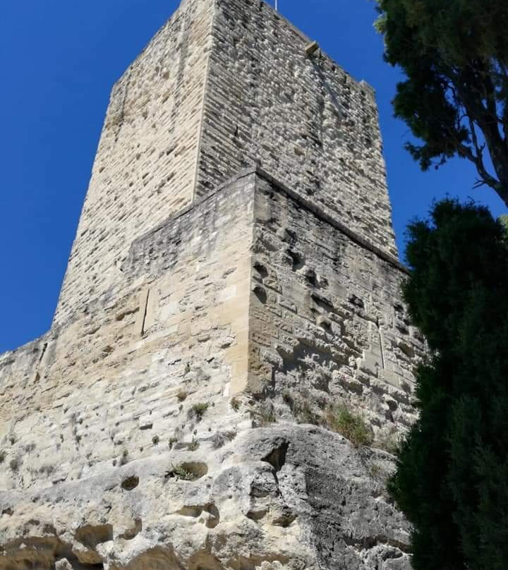 Château de Sommières景点图片