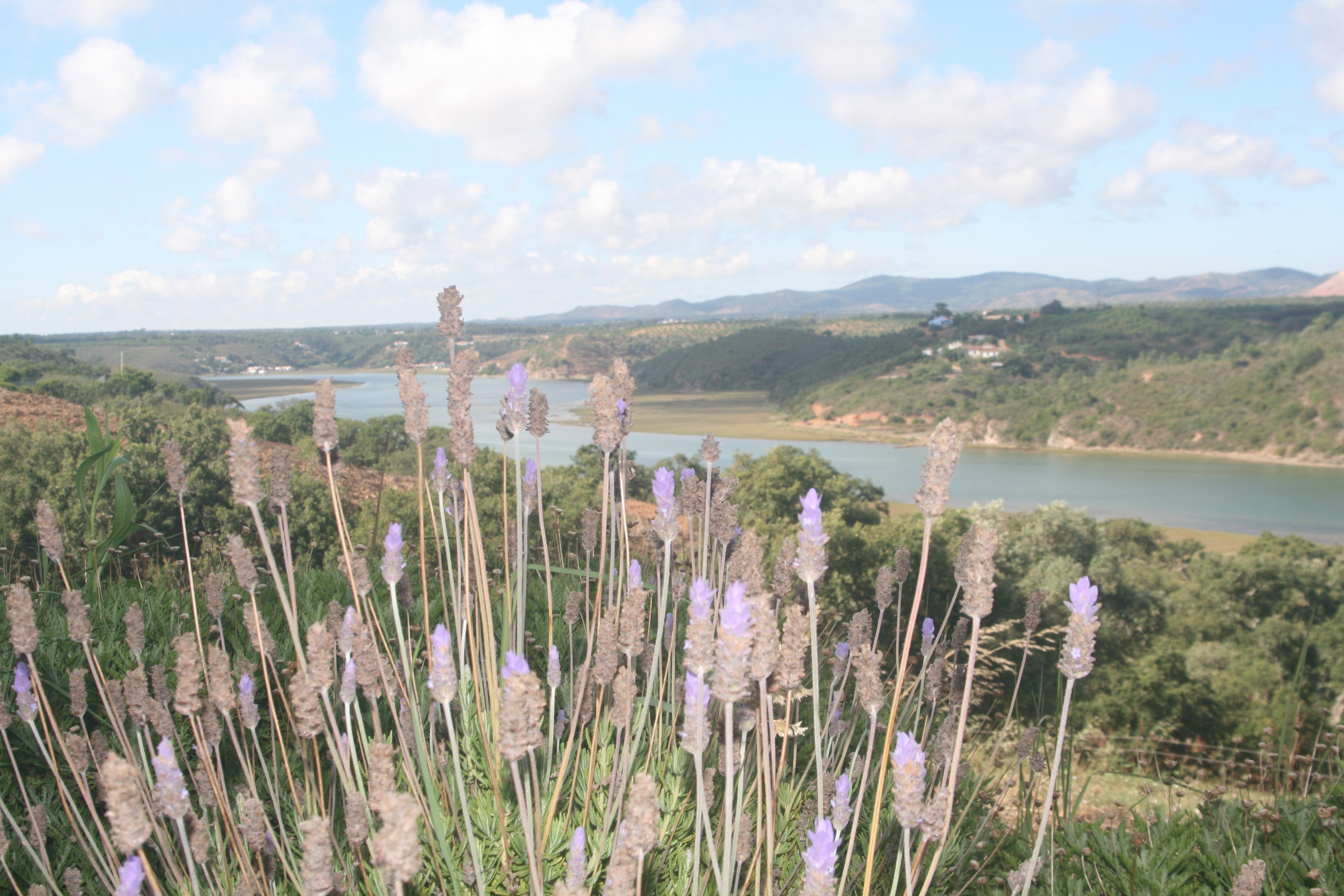 Monte do Zambujeiro-浴室