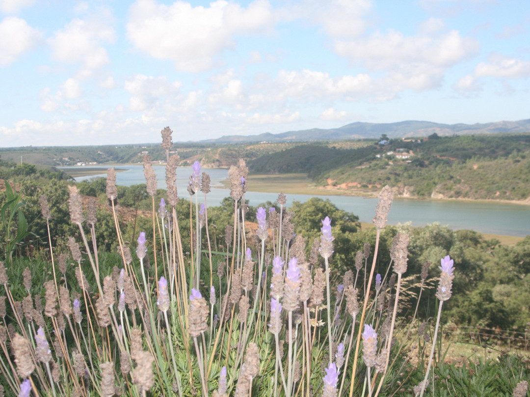 Monte do Zambujeiro主图