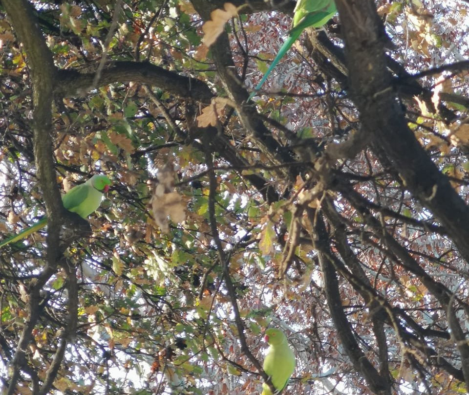 River Meadow Manor主图