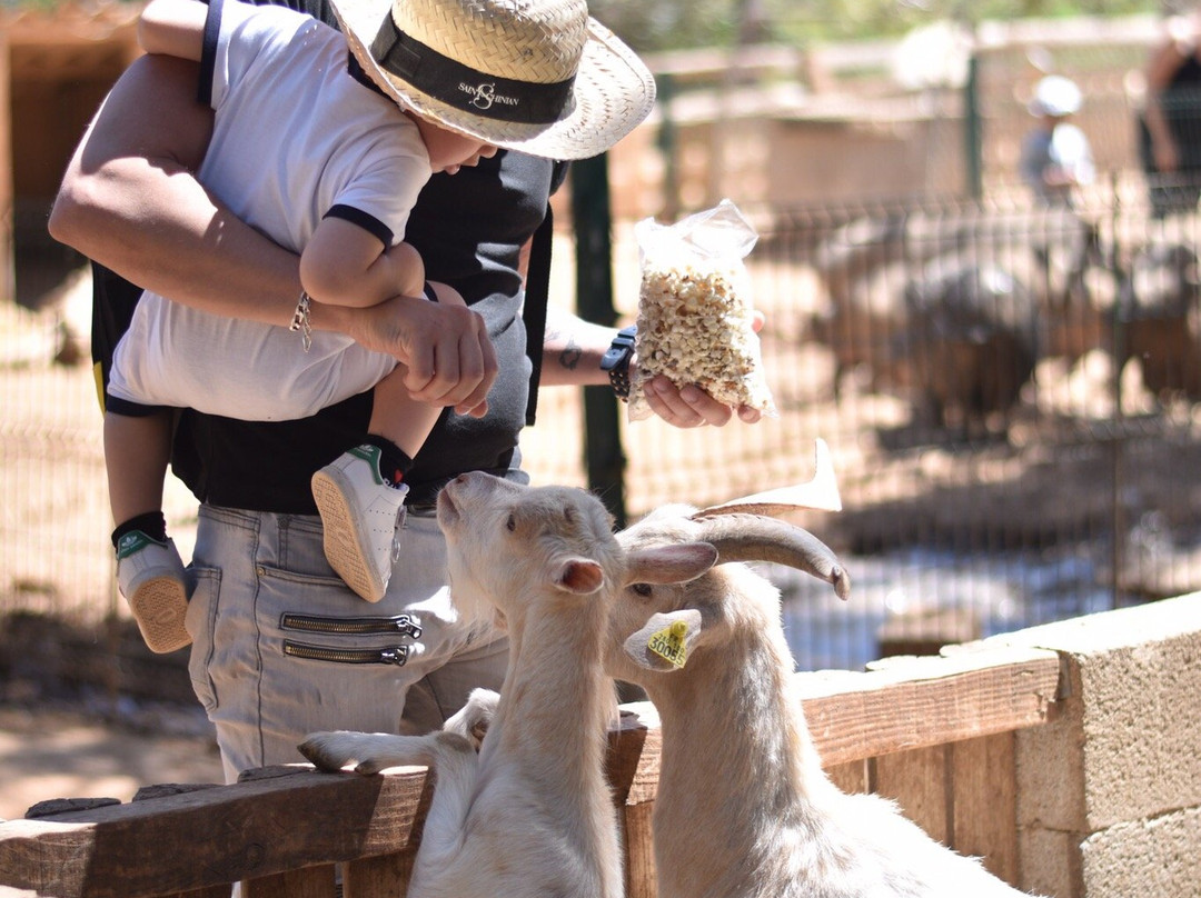 Mini Ferme Zoo-Cessenon-sur-Orb必去景点