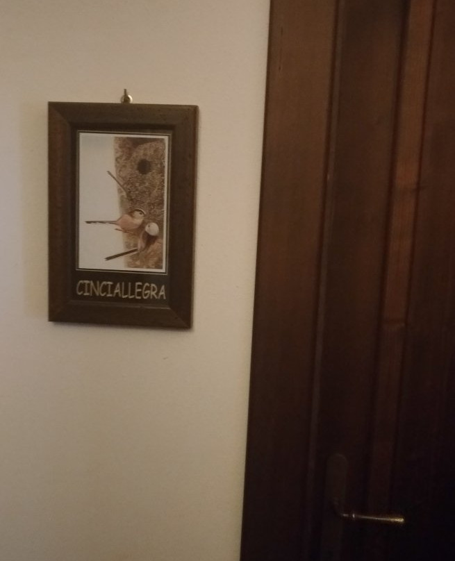 Bed & Breakfast San Marco主图