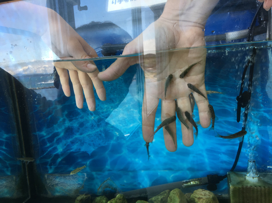 Teradomari Aquarium-长冈市必去景点