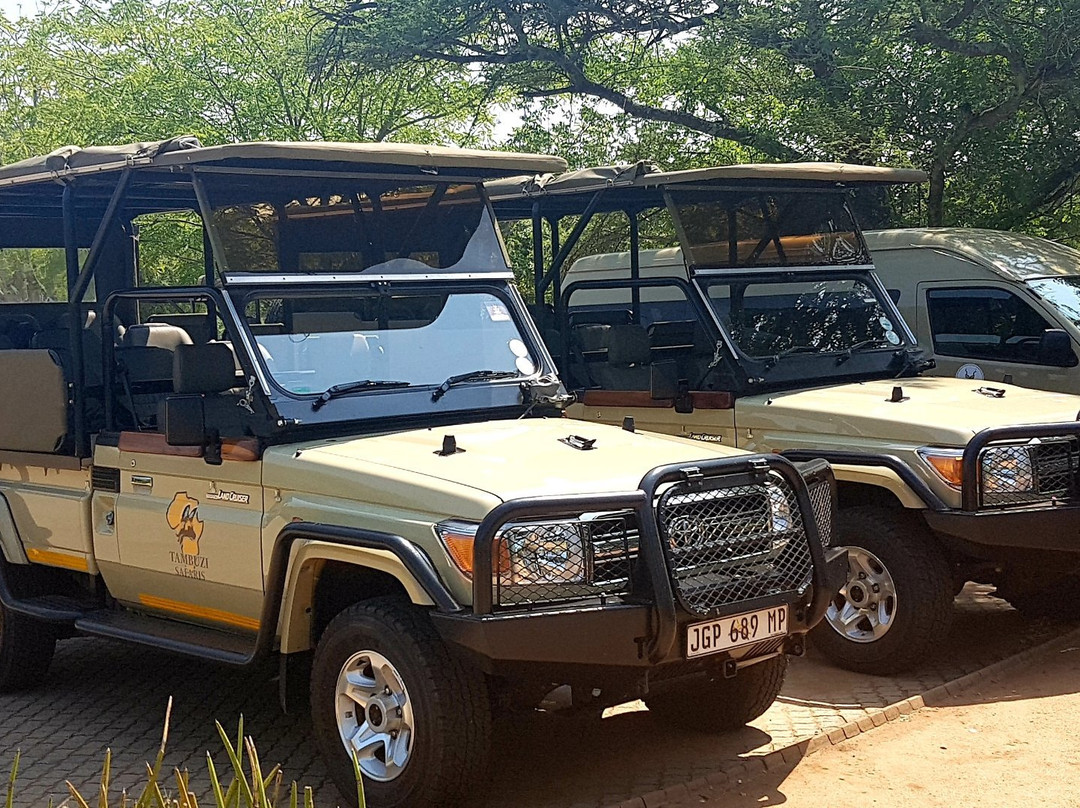 Tambuzi Safaris景点图片