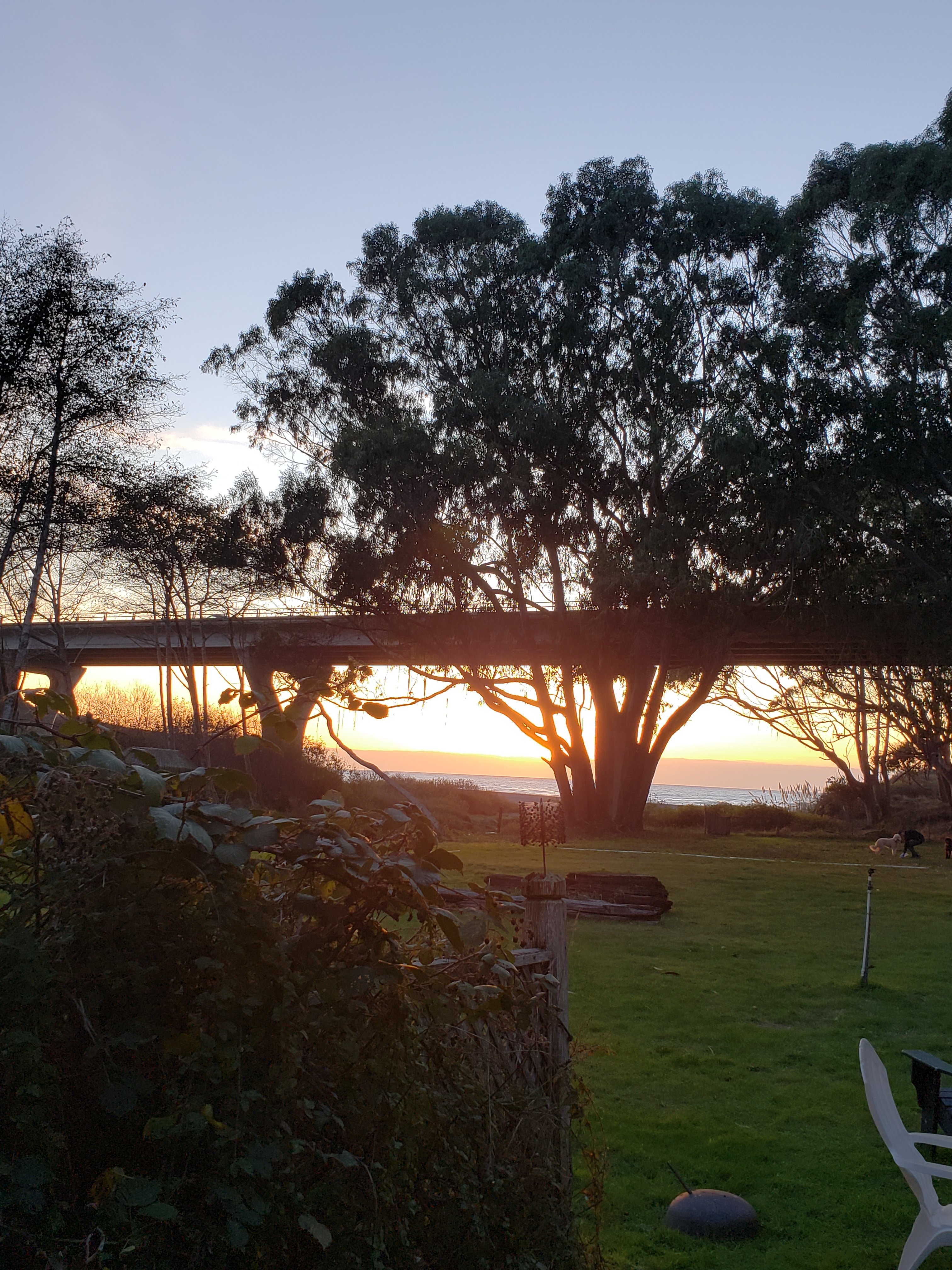 Howard Creek Ranch Inn-酒店景观