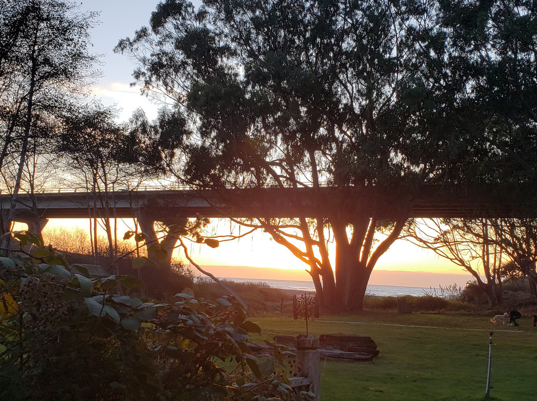 Howard Creek Ranch Inn主图