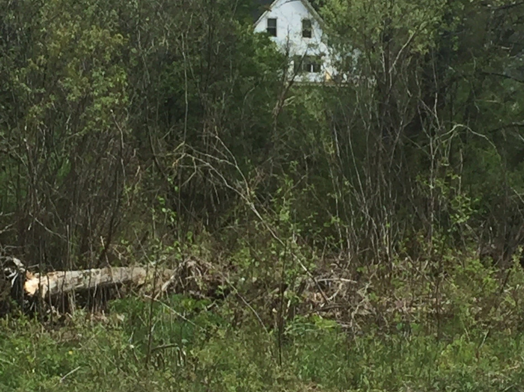 Robert Frost Wayside Trail-Ripton必去景点