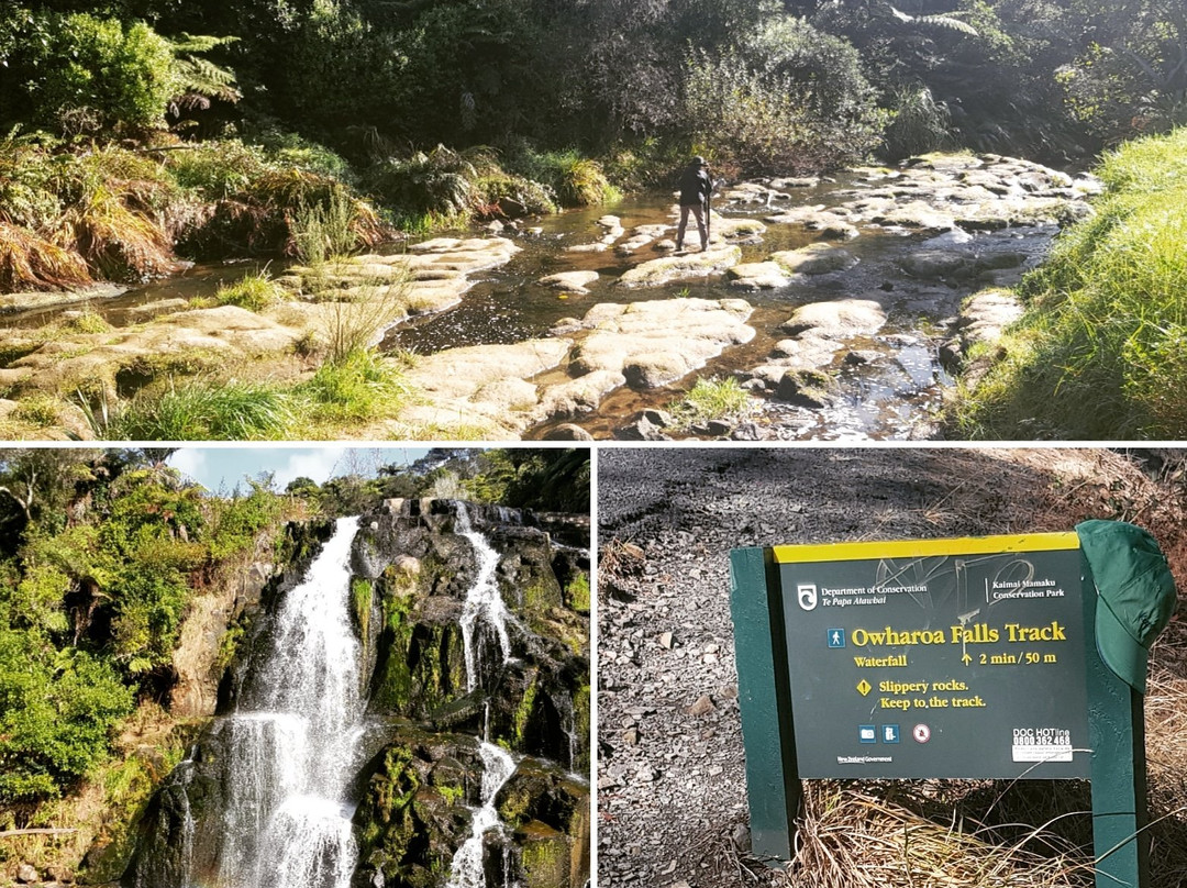 Owharoa Falls-Waikino必去景点